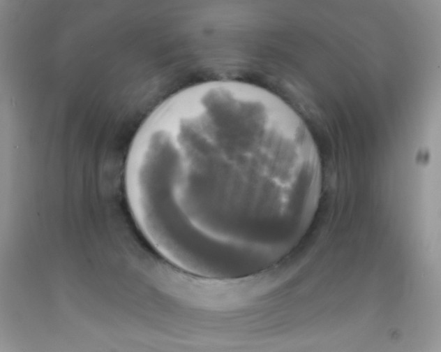 X0000091350030200709071248