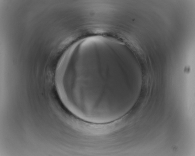 X0000091350031200709071248