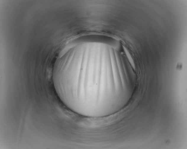 X0000091350033200709071248