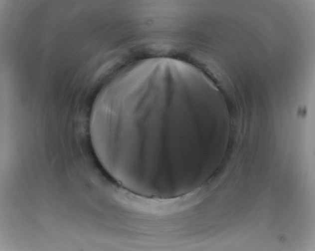 X0000091350035200709071248