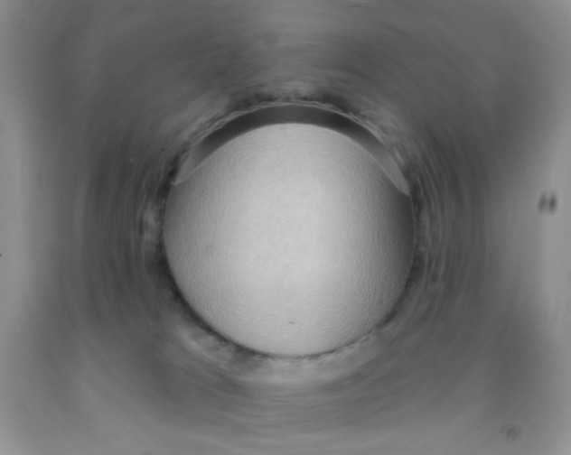 X0000091350037200709071248