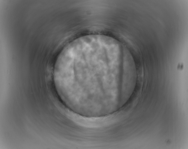 X0000091350038200709071248