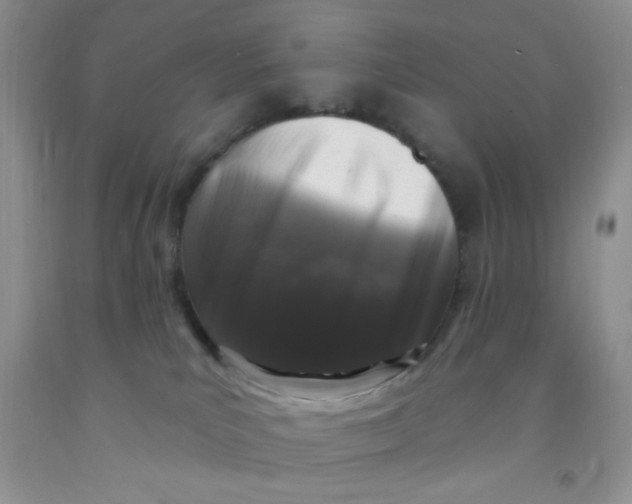 X0000091350039200709071248