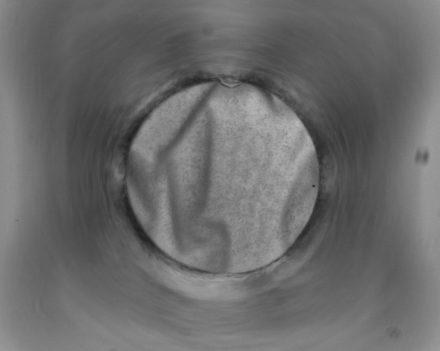 X0000091350040200709071248