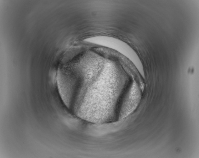 X0000091350041200709071247