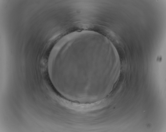 X0000091350043200709071247