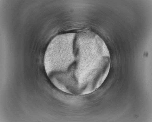 X0000091350044200709071247