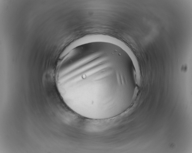 X0000091350045200709071247