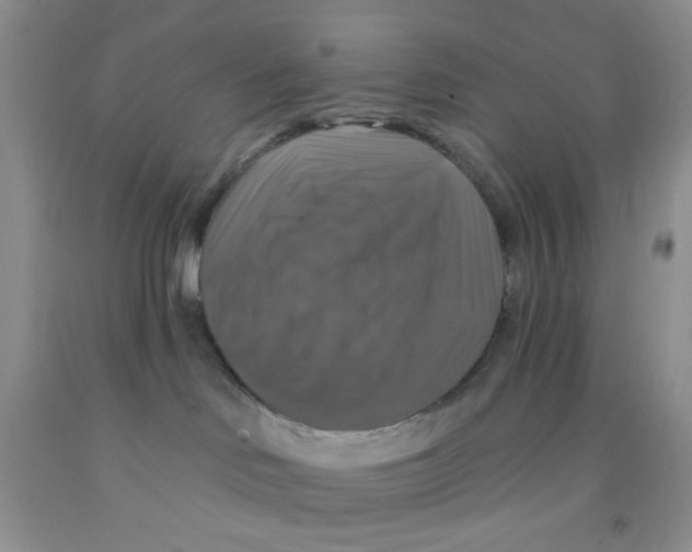 X0000091350046200709071247