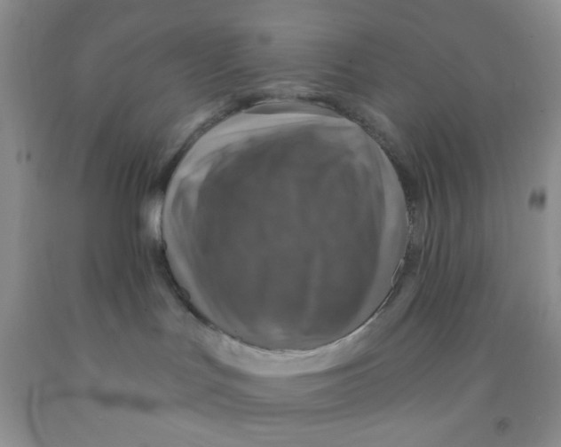 X0000091350047200709071247