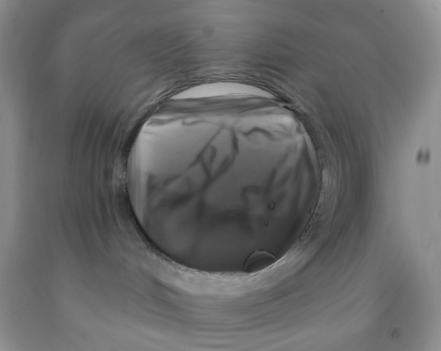 X0000091350048200709071247