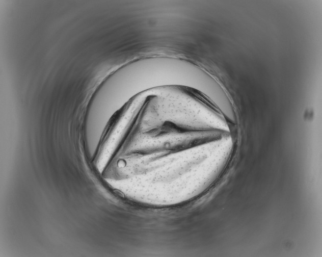X0000091350049200709071247