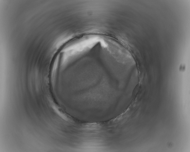 X0000091350050200709071247