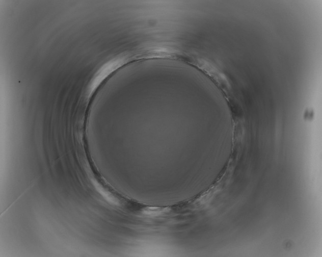 X0000091350051200709071247