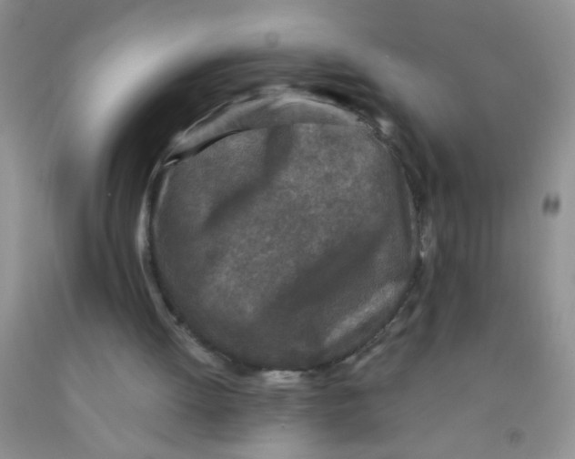 X0000091350052200709071247