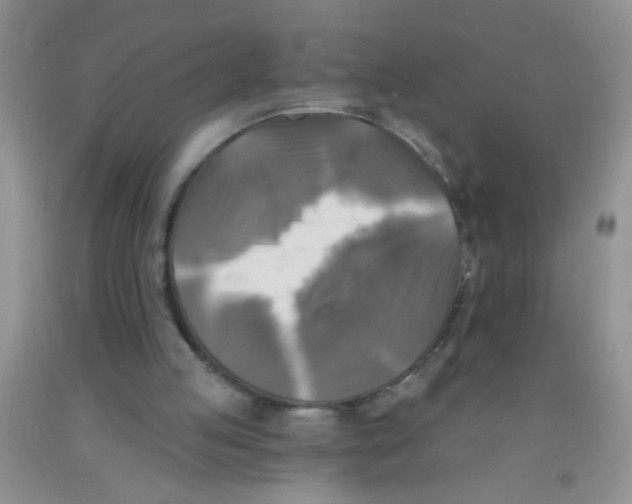 X0000091350053200709071247