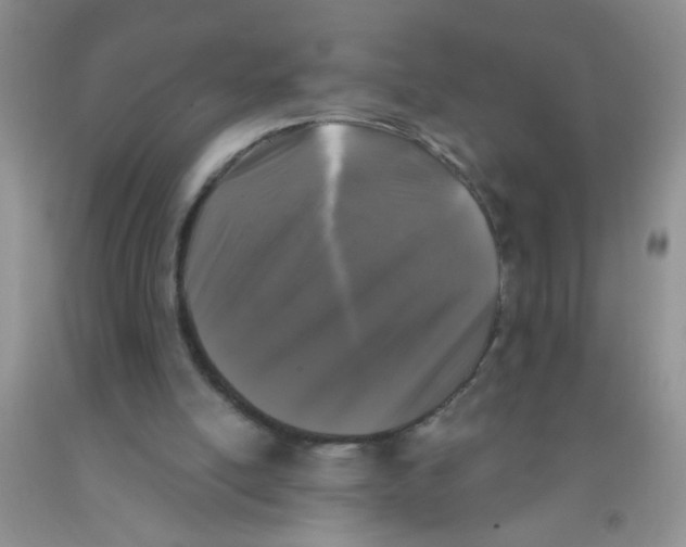 X0000091350054200709071247