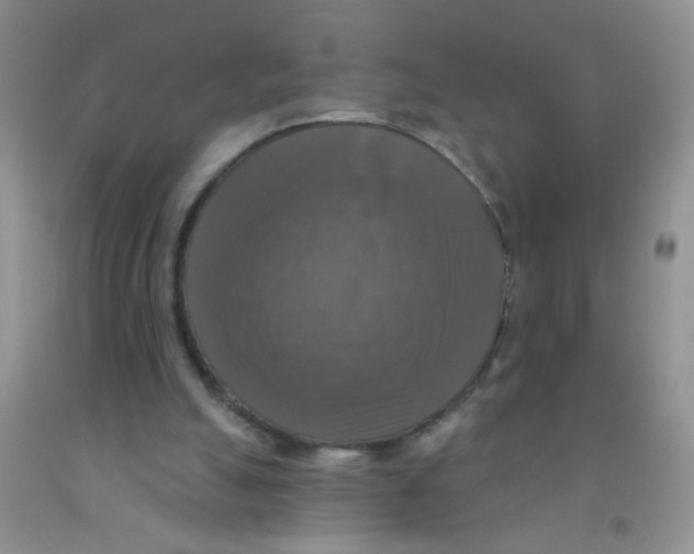 X0000091350055200709071247