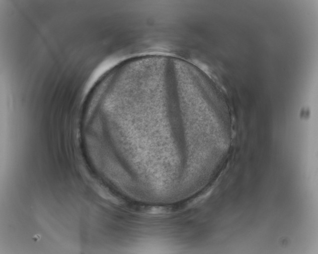 X0000091350056200709071247