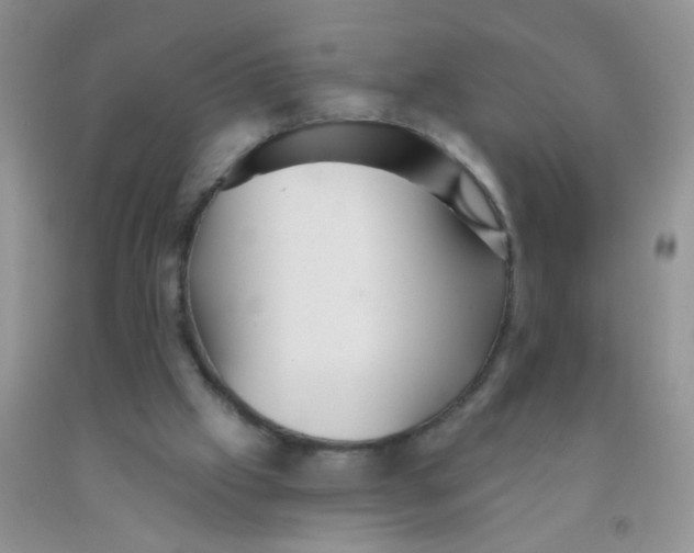 X0000091350057200709071247