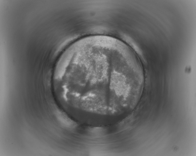 X0000091350058200709071247