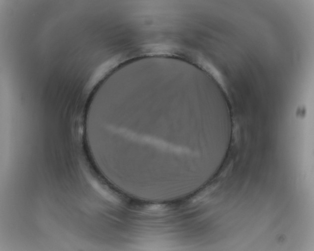 X0000091350059200709071247