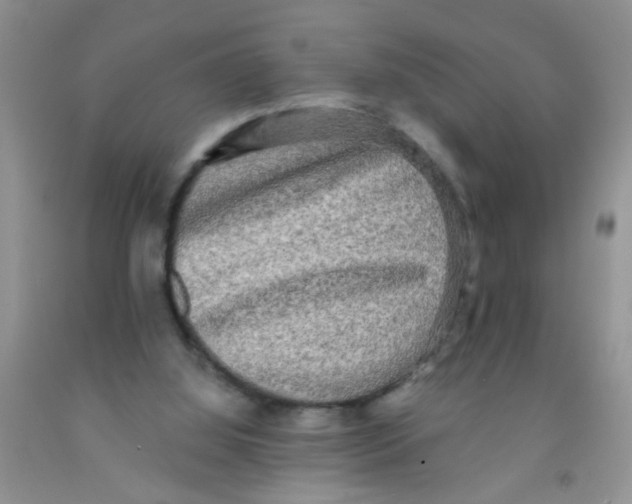 X0000091350060200709071247