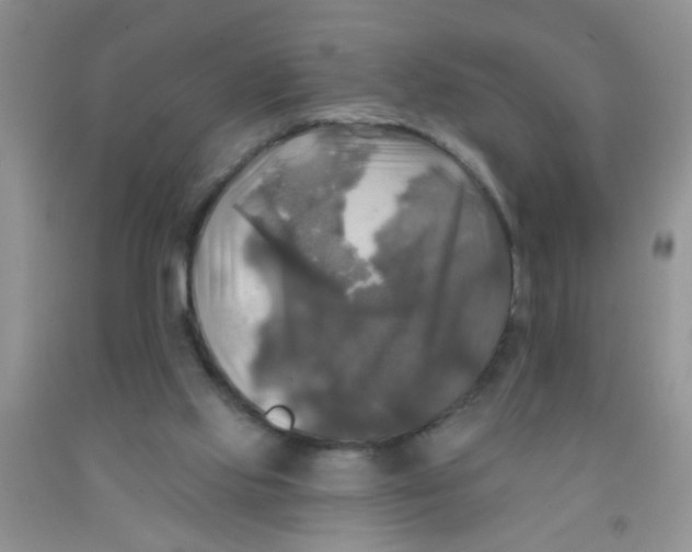 X0000091350061200709071247