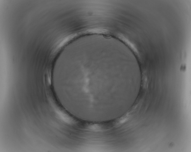 X0000091350062200709071247