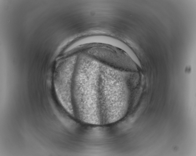 X0000091350064200709071247