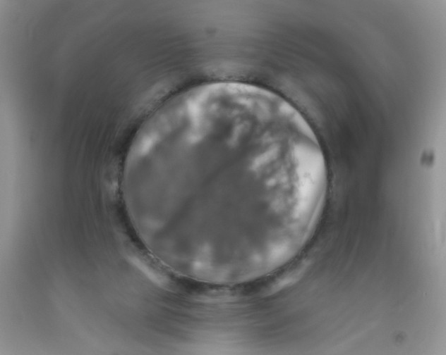 X0000091350065200709071247