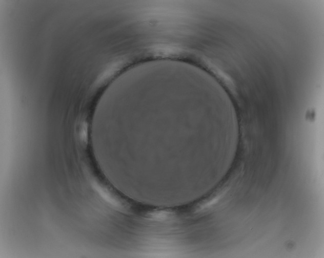 X0000091350067200709071247