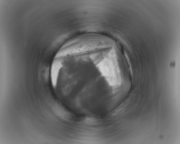 X0000091350070200709071247