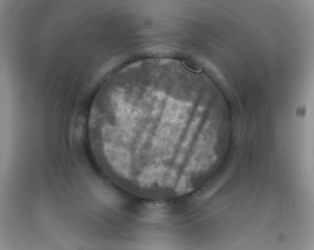 X0000091350071200709071247