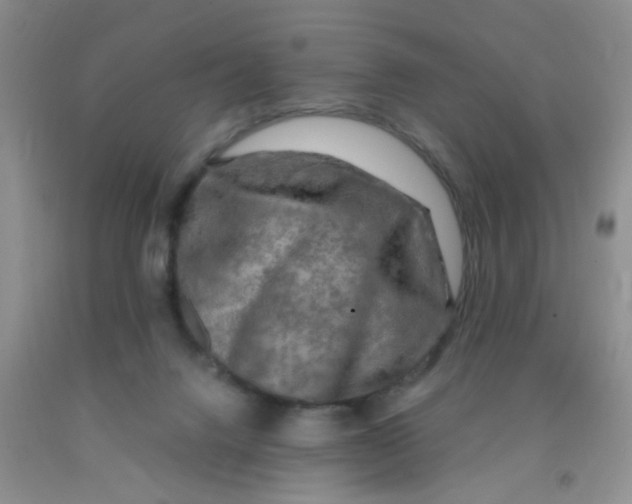 X0000091350072200709071247