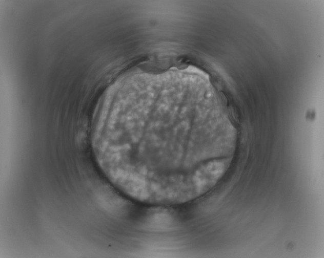 X0000091350073200709071247