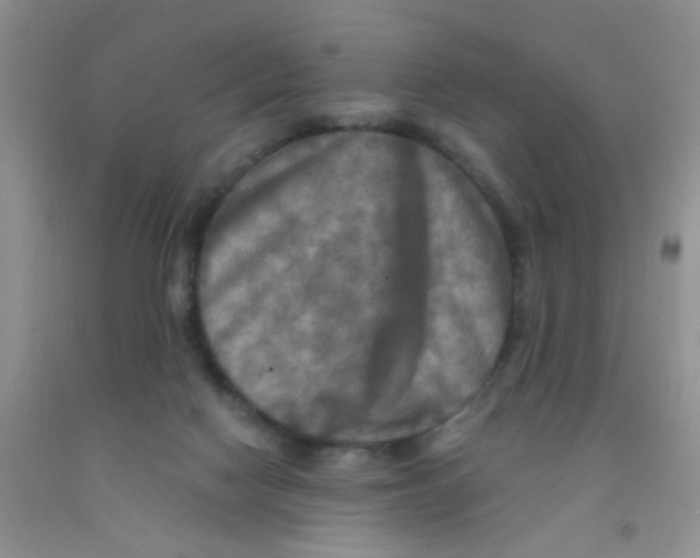 X0000091350074200709071247