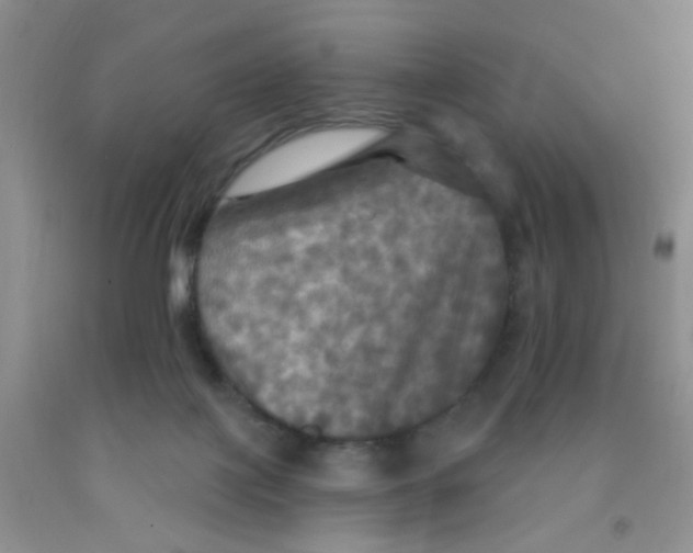 X0000091350075200709071247