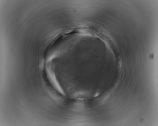 X0000091350076200709071247