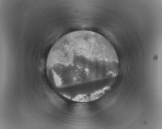 X0000091350077200709071247