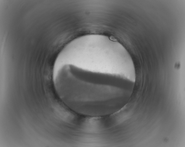 X0000091350078200709071247