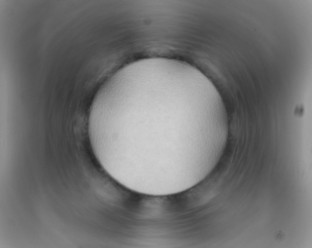 X0000091350079200709071247
