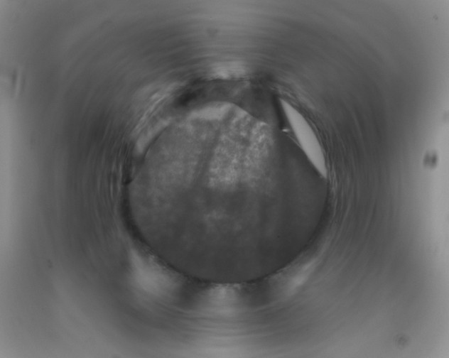 X0000091350080200709071247