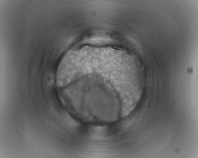 X0000091350081200709071247