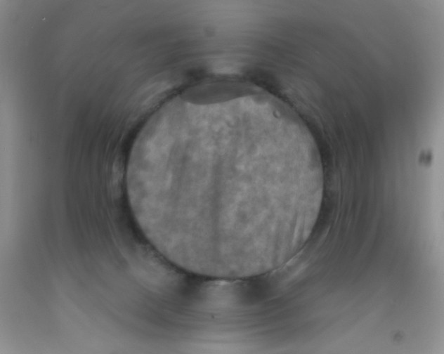 X0000091350082200709071247