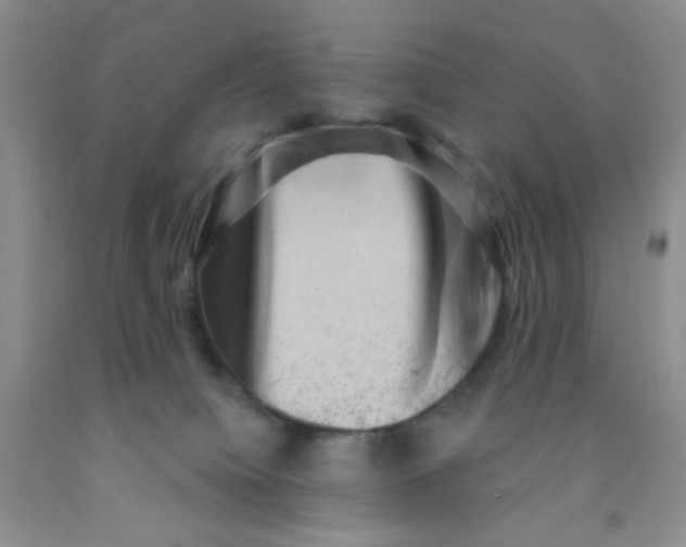 X0000091350084200709071247