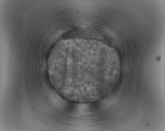 X0000091350085200709071247