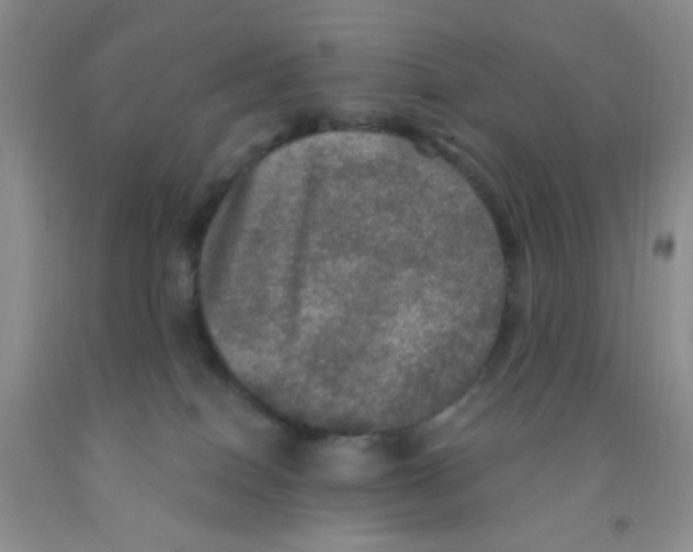 X0000091350086200709071247
