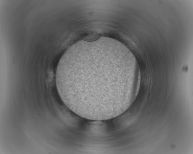 X0000091350087200709071247