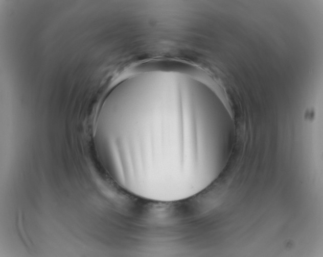 X0000091350088200709071247
